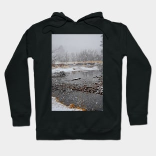 RMNP Winter Study 9 Hoodie